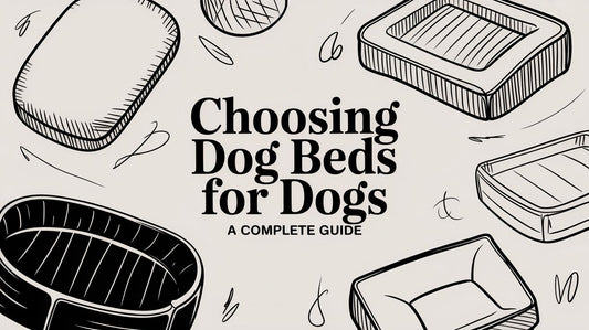 Choosing Dog Beds for Dogs a Complete Guide