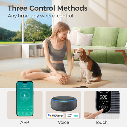 Air Purifier with Humidifier for Allergies & Pet Hair